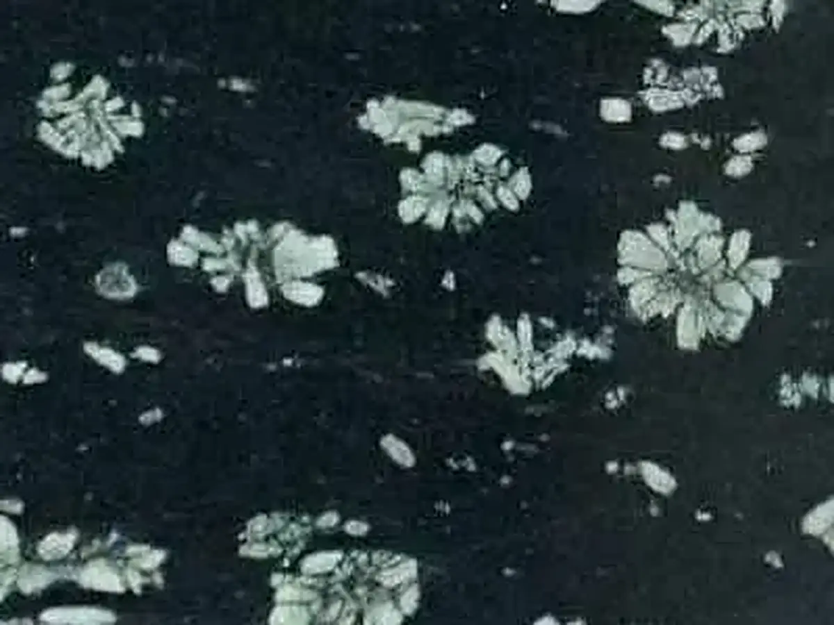 Deep Sea granito, muestra pulida – Marmi di Carrara – negro, verde (1)