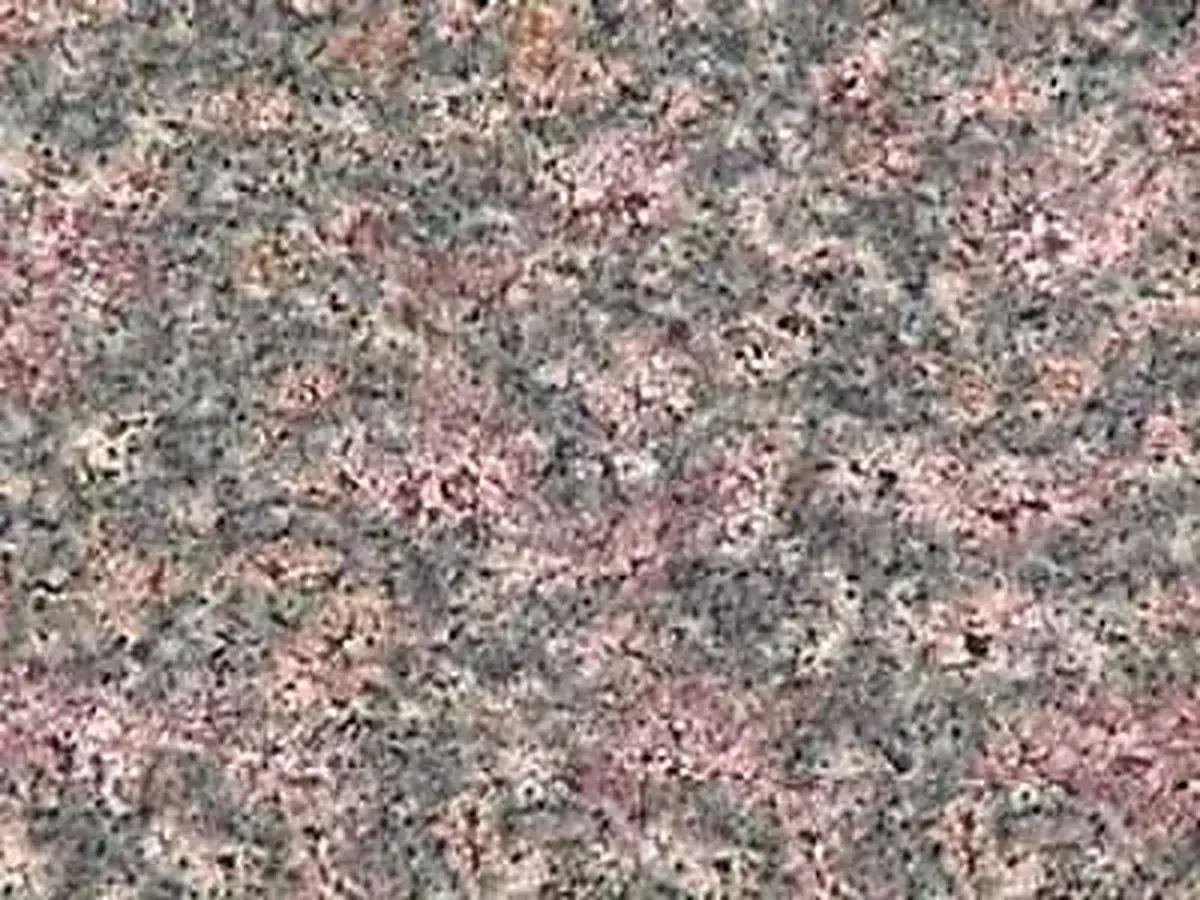 Desert Bloom granite polished sample – Marmi di Carrara – grey, beige (1)
