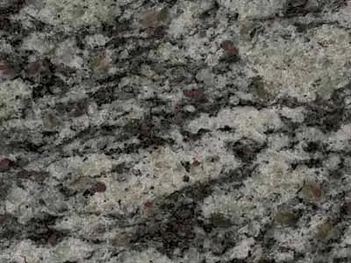Desert Green granit, échantillon poli – Marmi di Carrara – anthracite, gris (1)