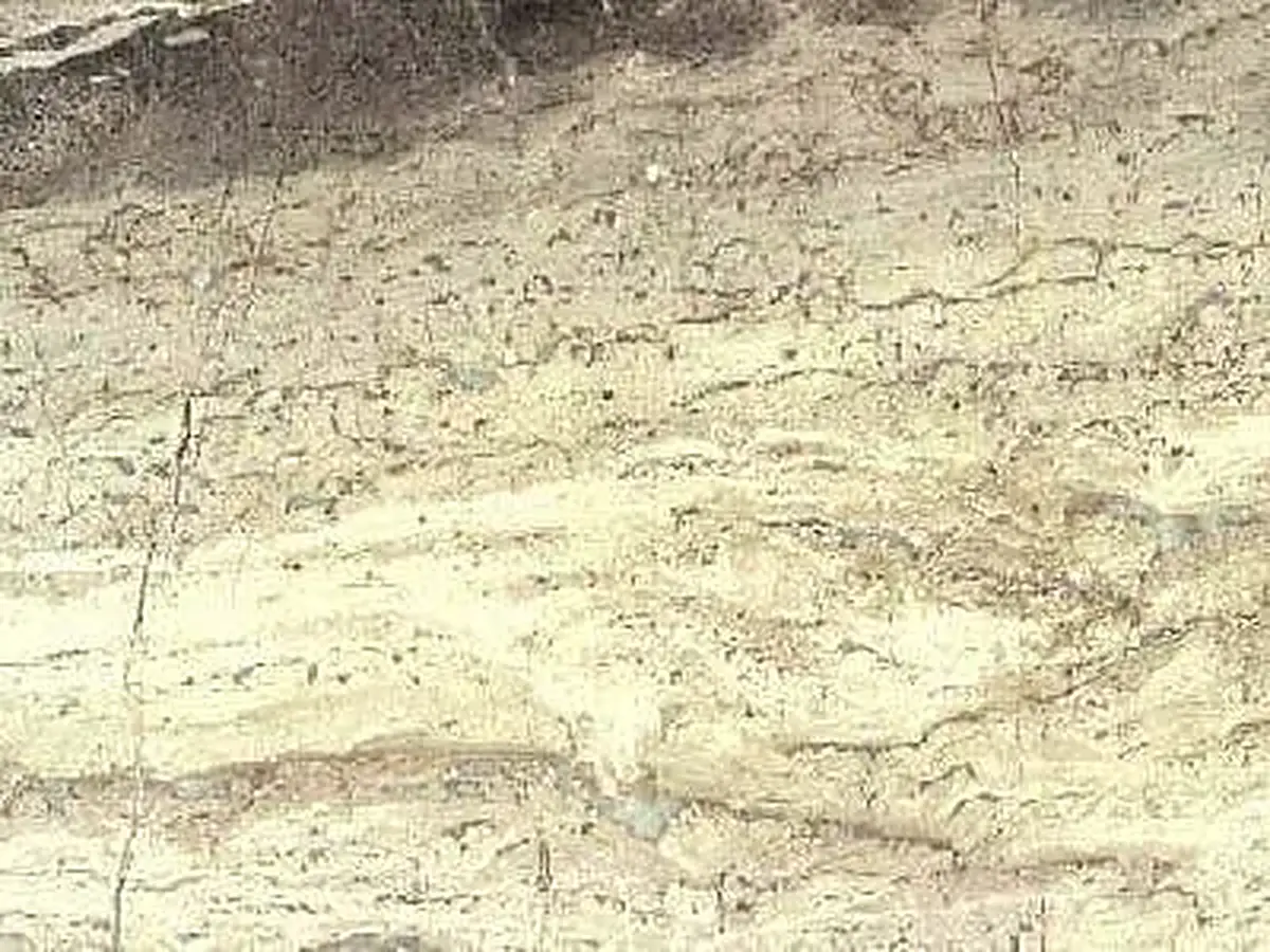 Didyma Kalkstein, polierte Probe – Marmi di Carrara – elfenbein, beige (1)