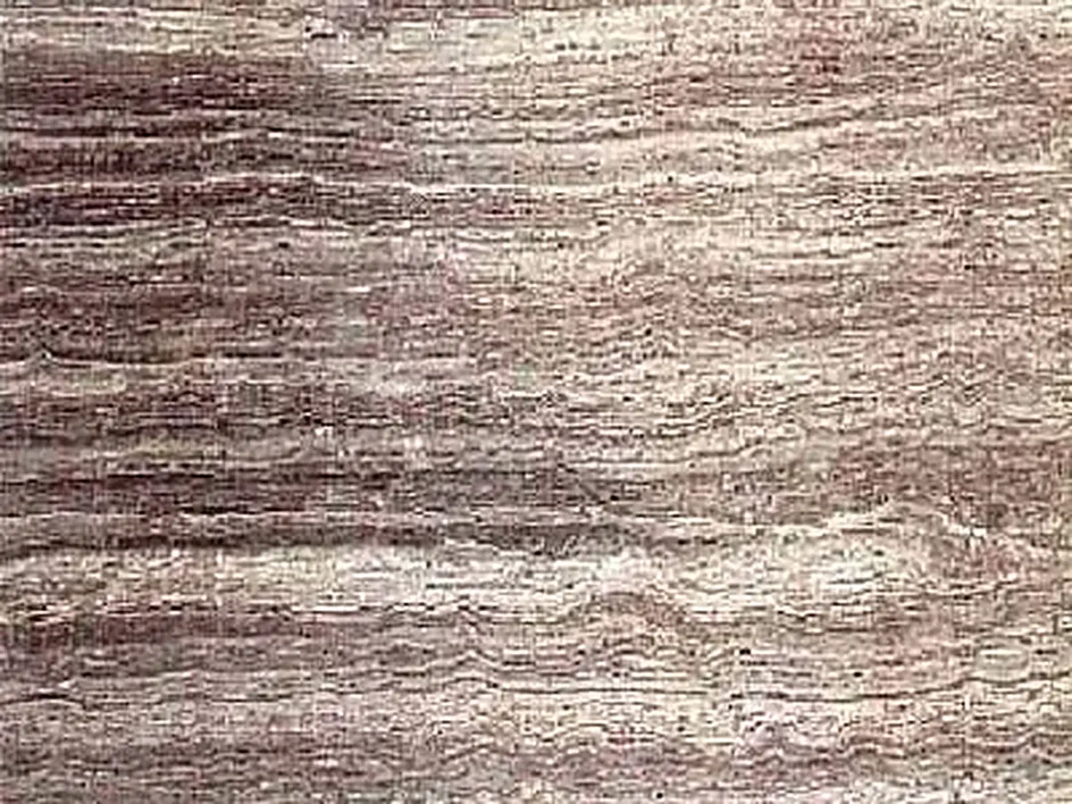 Didyma Brown limestone polished sample – Marmi di Carrara – beige, grey (1)