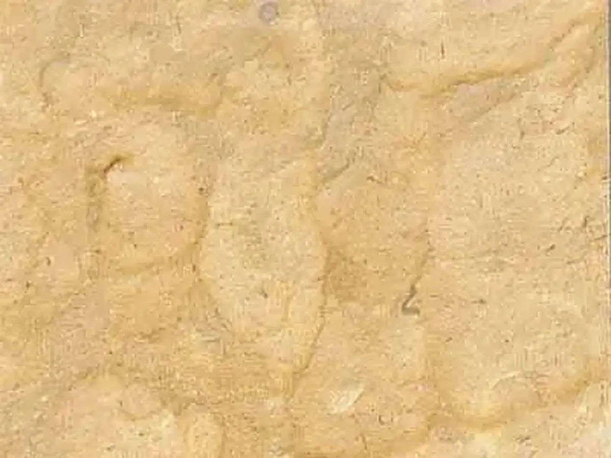 Dorado Tepexi Kalkstein, polierte Probe – Marmi di Carrara – beige (1)