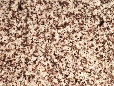 Eitzing granito, campione lucido – Marmi di Carrara – beige, oro (1)