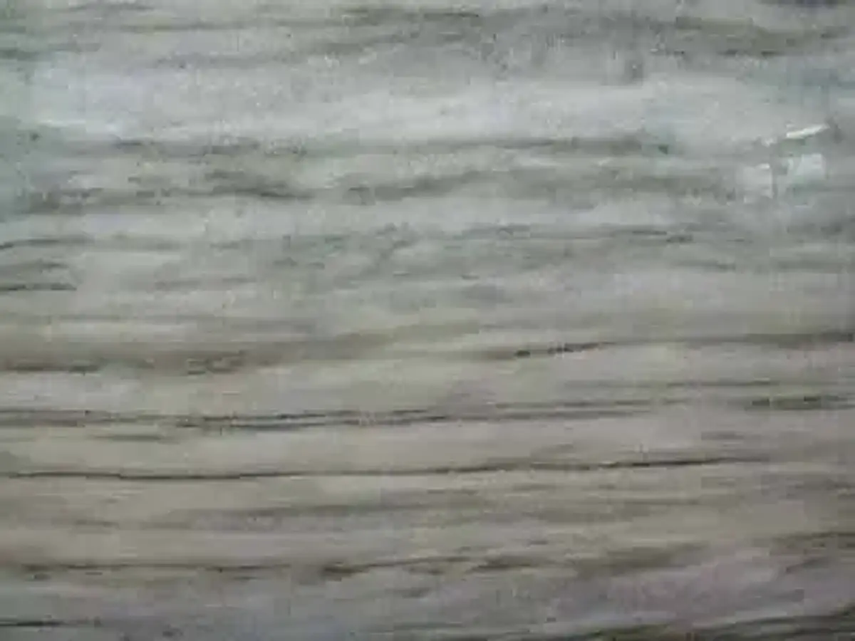Eldorados marbre, échantillon poli – Marmi di Carrara – gris, vert (1)