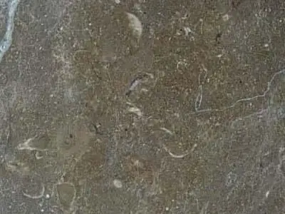 Emgoni Marron limestone