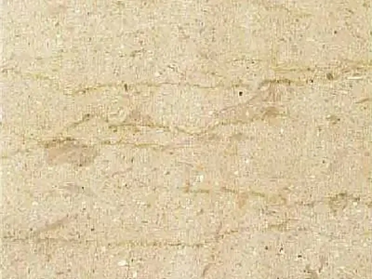 Epirus Beige calcaire, échantillon poli – Marmi di Carrara – beige, ivoire (1)