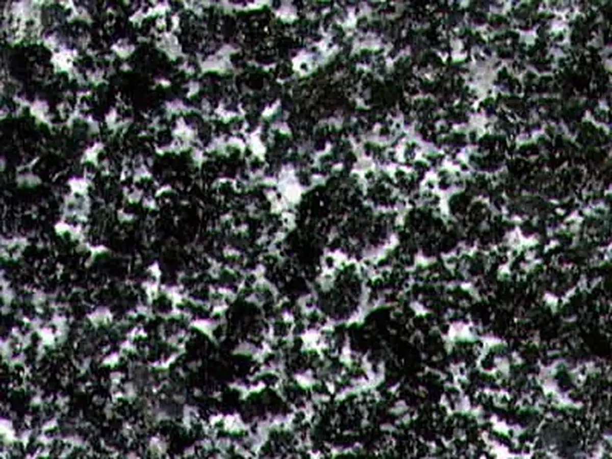 Fhq granite polished sample – Marmi di Carrara – black, charcoal (1)