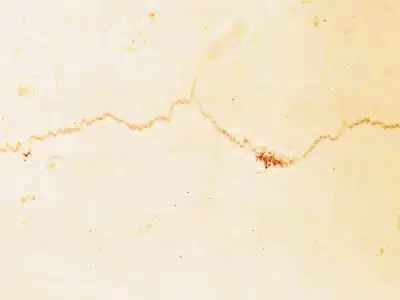 Filetto Rosso Ionico limestone