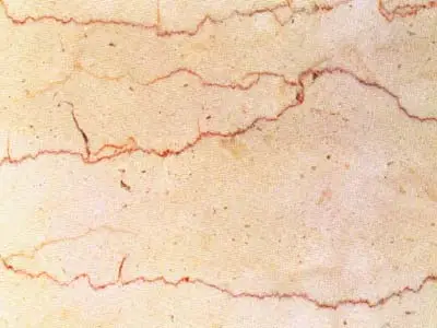 Filetto Rosso Trani limestone