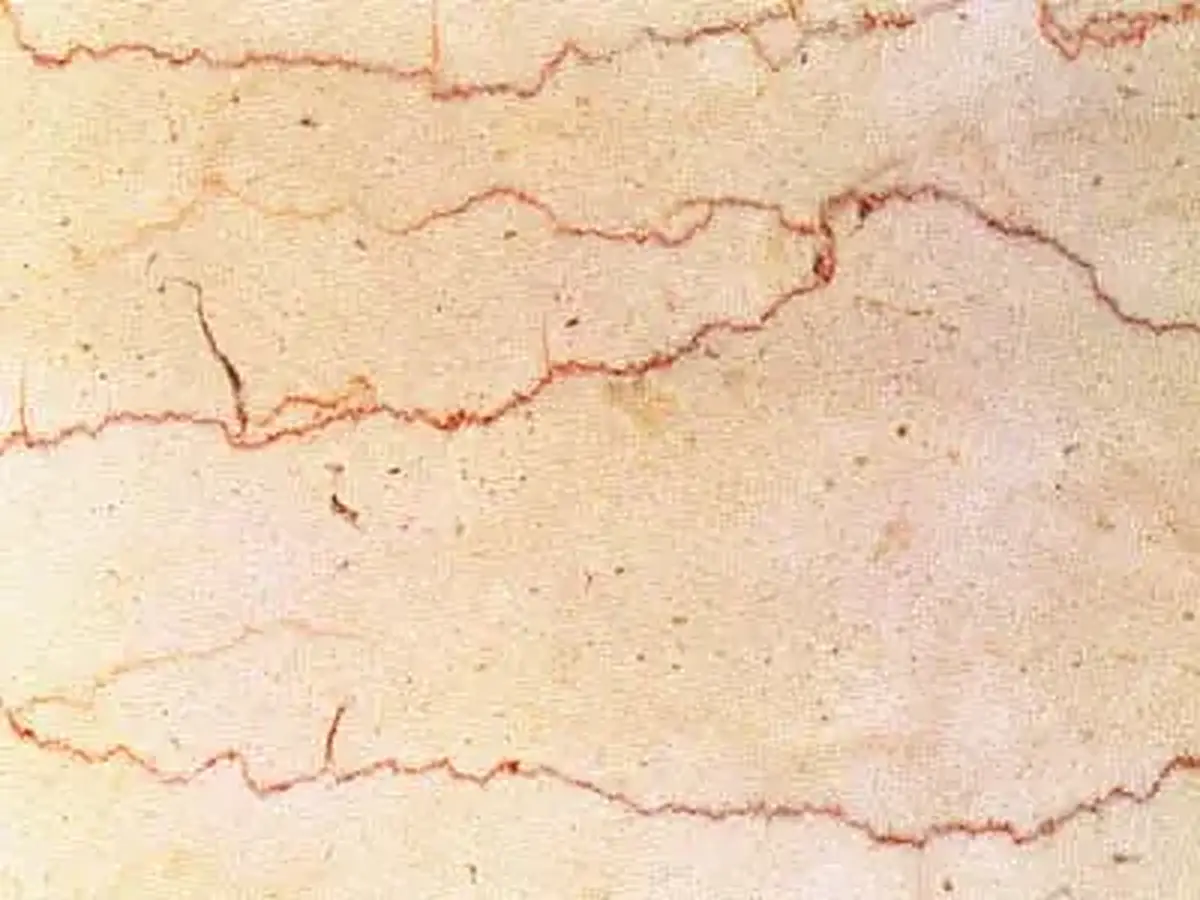 Filetto Rosso Trani Kalkstein, polierte Probe – Marmi di Carrara – elfenbein, beige (1)