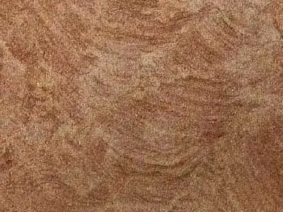 Finkenbach sandstone