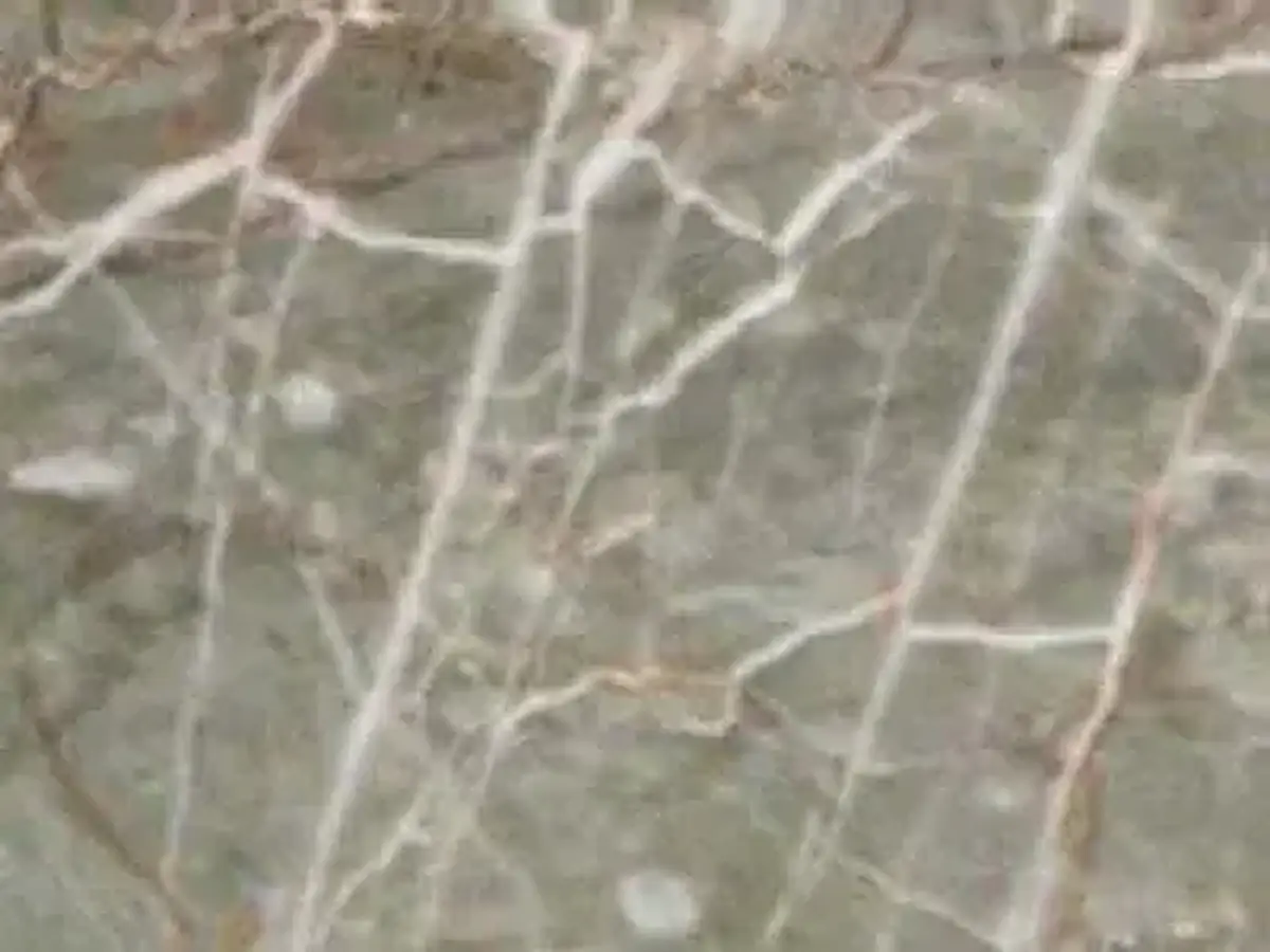 Fior Resco M 072 calcare, campione lucido – Marmi di Carrara – grigio, beige (1)