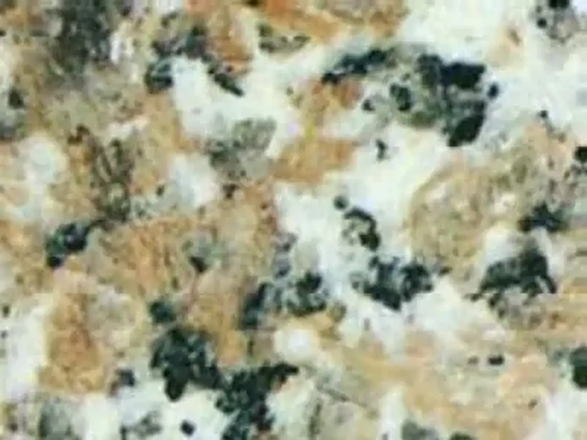 Five Water Lily G 3742 granit, échantillon poli – Marmi di Carrara – gris, beige (1)