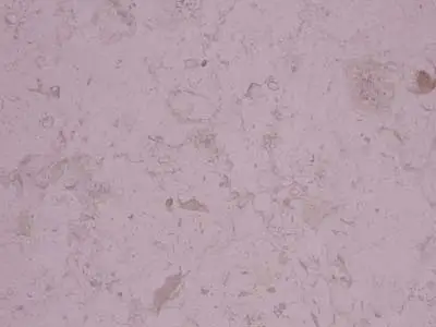 Florenza limestone polished sample – Marmi di Carrara – light grey, pink (1)