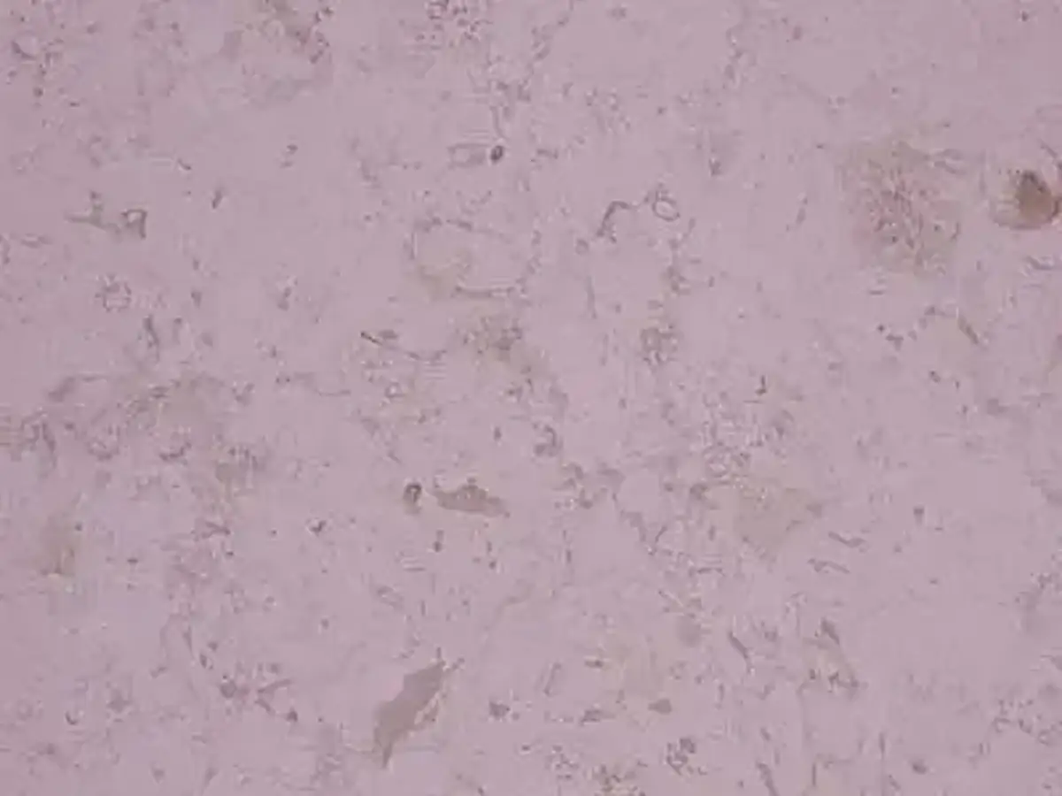Florenza limestone polished sample – Marmi di Carrara – light grey, pink (1)