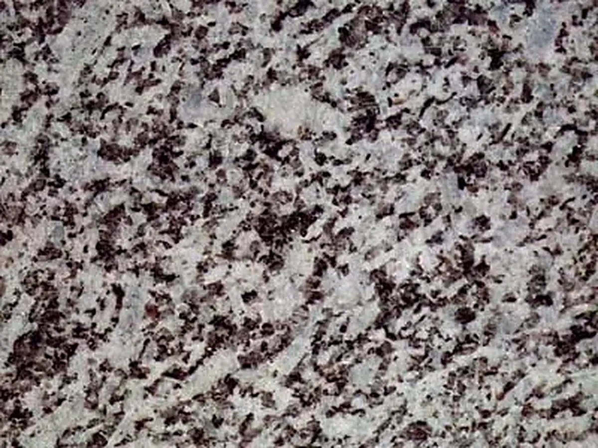Flossenbürg granit, échantillon poli – Marmi di Carrara – gris, violet (1)