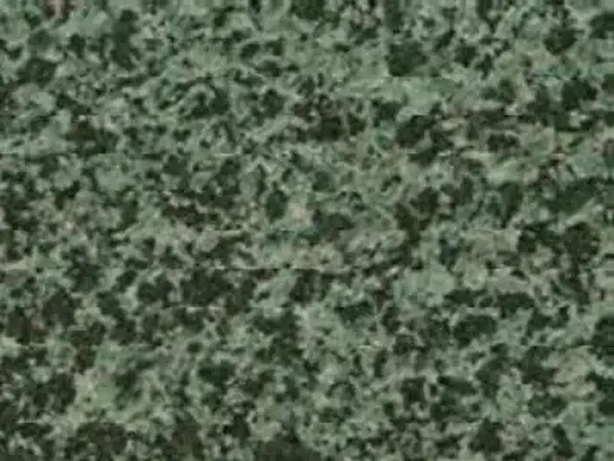 Forest G 022 гранит, полированный образец – Marmi di Carrara – антрацитовый, зелёный (1)