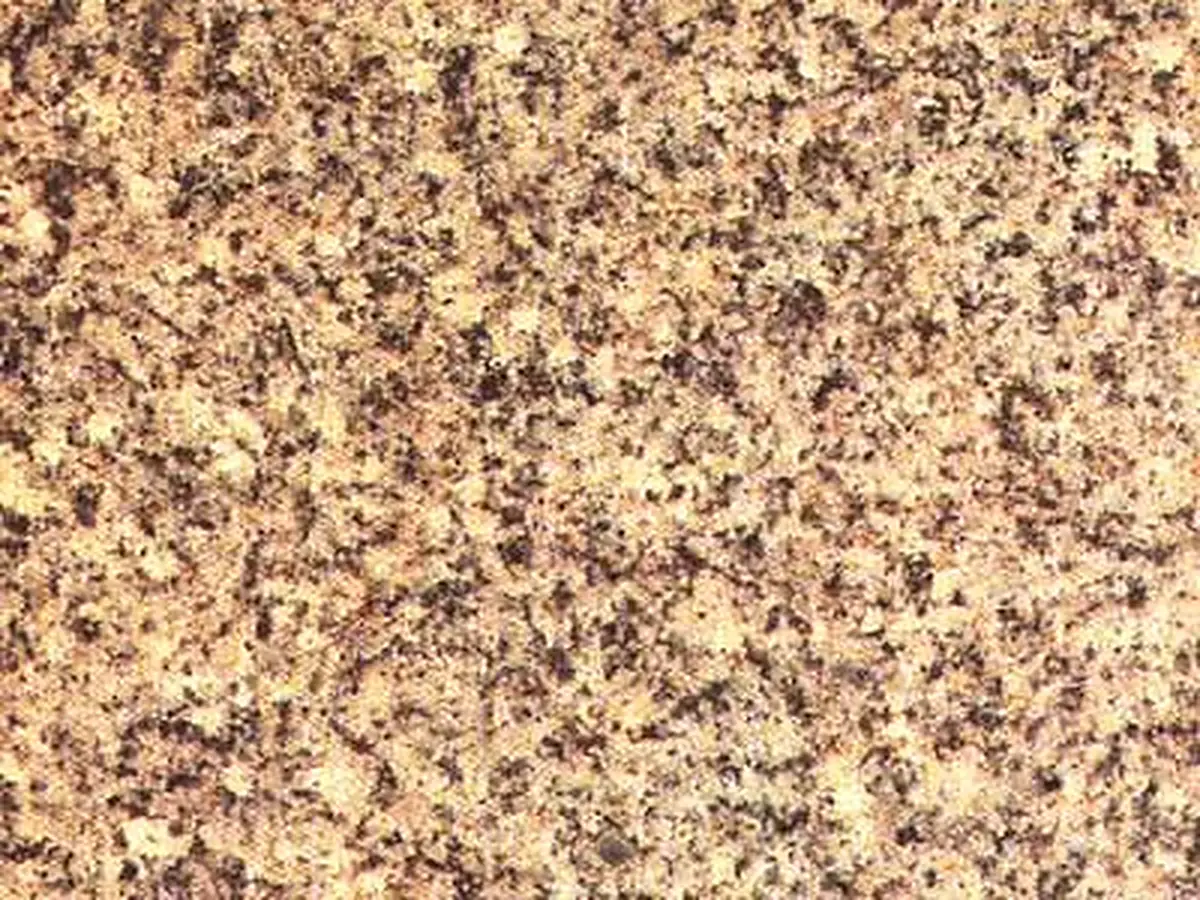 G 1303 granito, muestra pulida – Marmi di Carrara – beige, dorado (1)