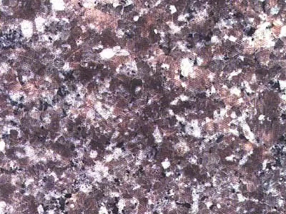 G 3709 granite polished sample – Marmi di Carrara – violet, charcoal (1)