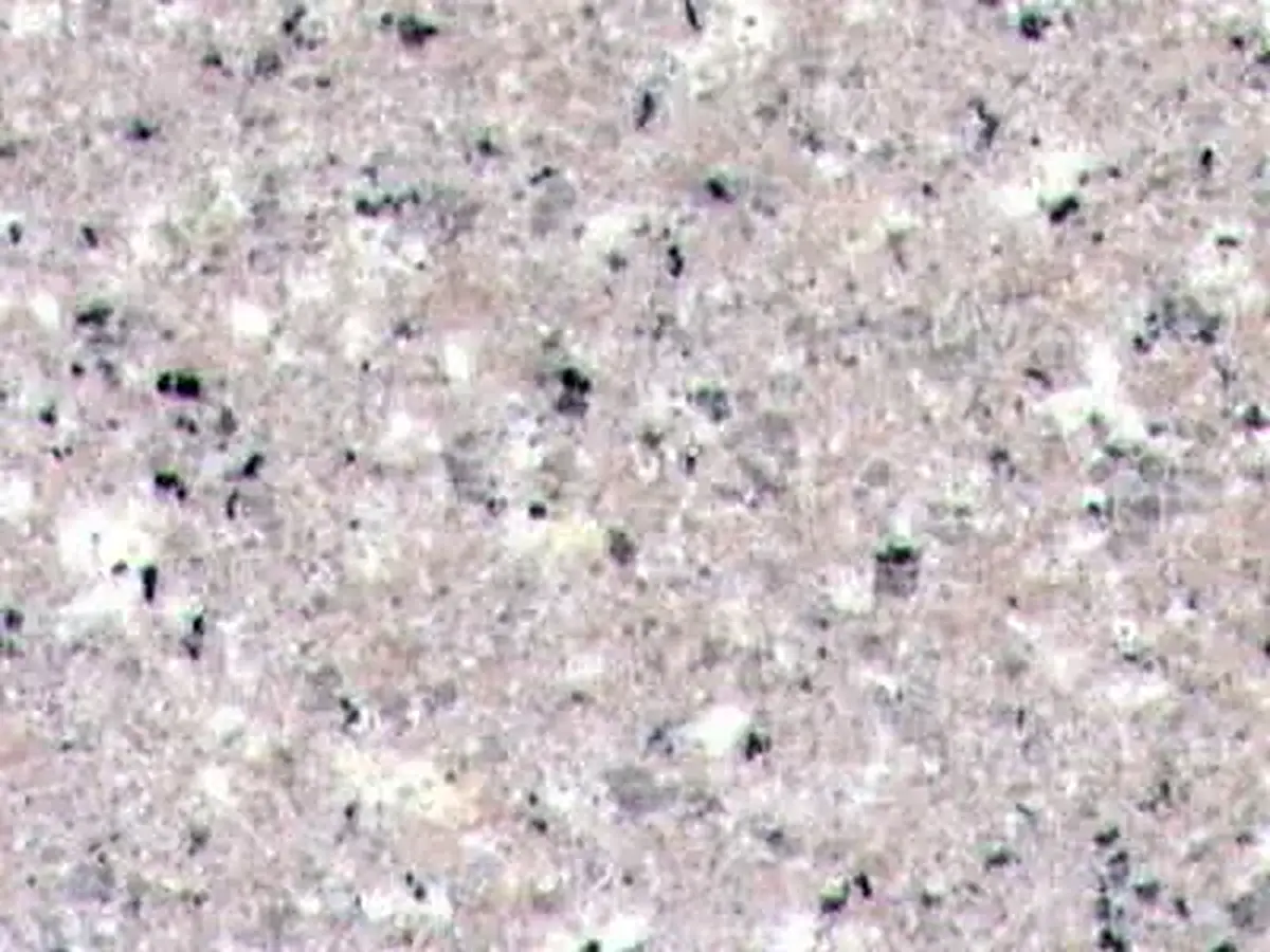 G606 natural stone polished sample – Marmi di Carrara – light grey, ivory (1)
