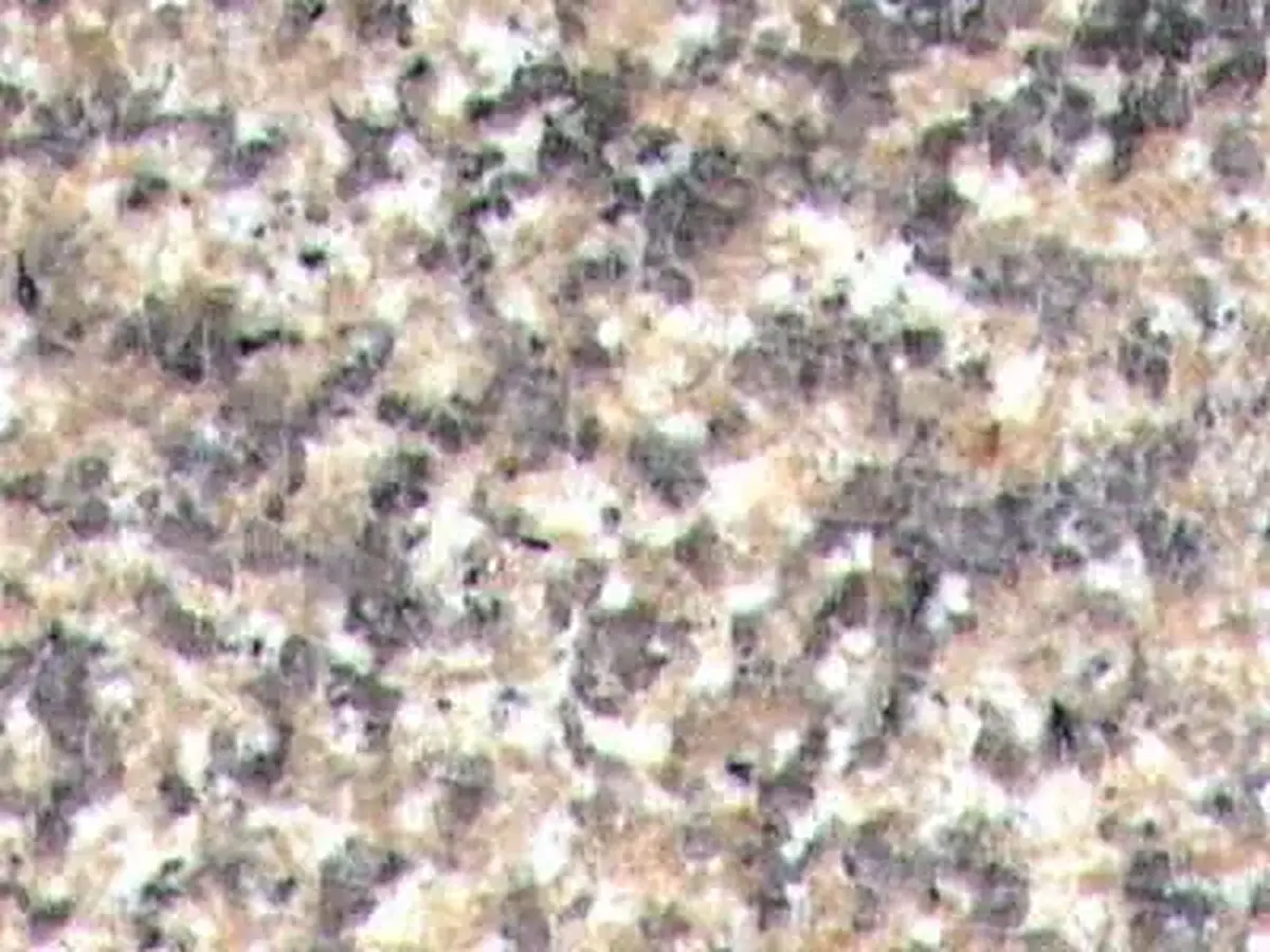 G657 granito, campione lucido – Marmi di Carrara – beige, grigio chiaro (1)