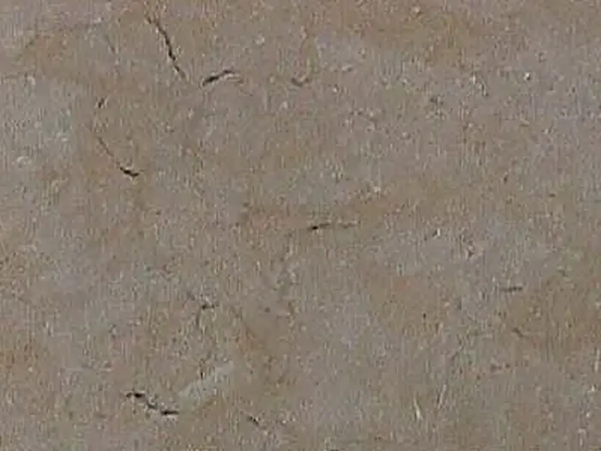 Galala limestone polished sample – Marmi di Carrara – grey (1)