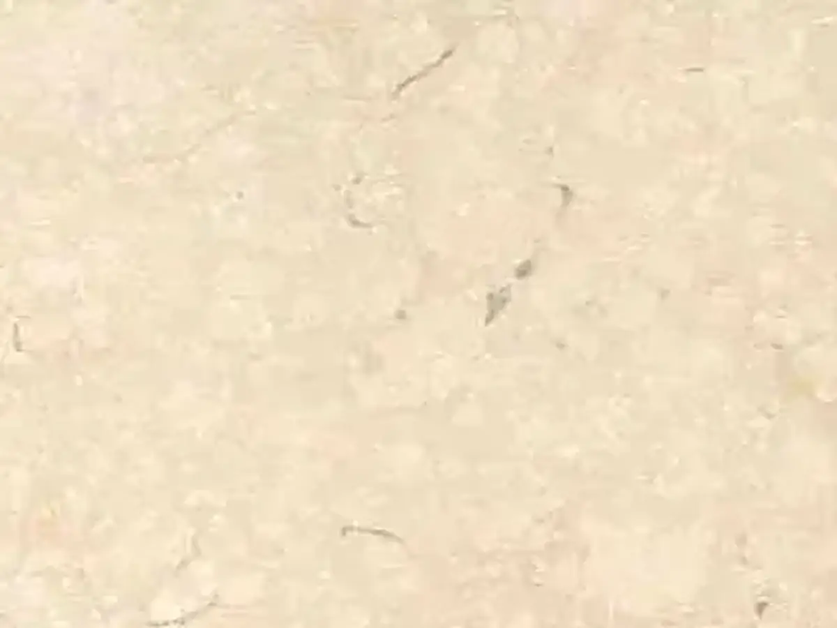 Galala Beige caliza, muestra pulida – Marmi di Carrara – marfil (1)