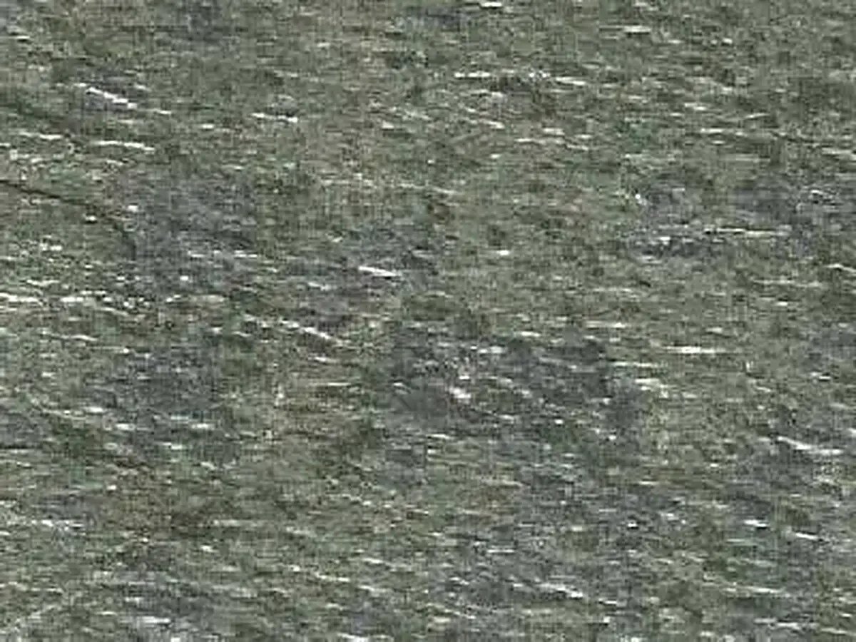 Galaxy Green Slate сланец, полированный образец – Marmi di Carrara – зелёный, серый (1)