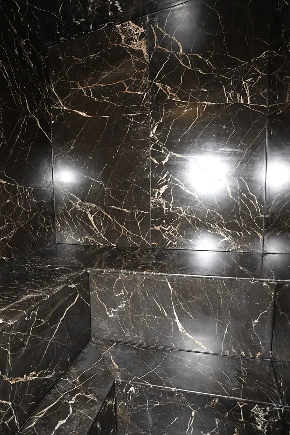 Bathroom: EFTA00000171 - Black marble walls and floor with golden veins reflecting light in a luxuri