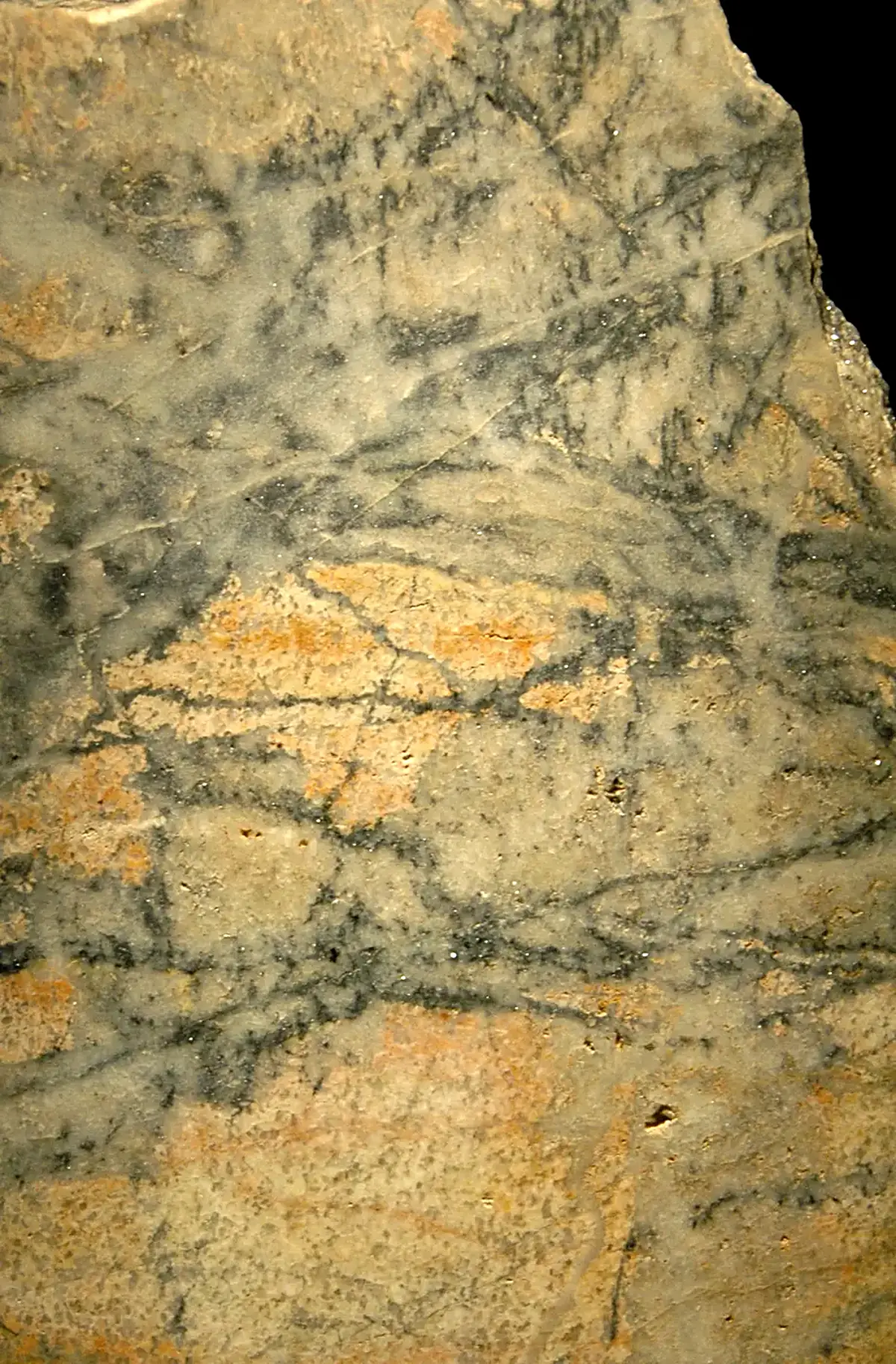 Surface detail: Molybdenum ore (molybdenite-quartz veins in alkaline granite, Oligocene, 24-33 Ma; Climax