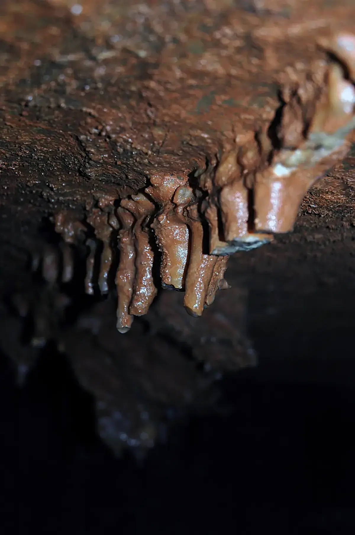 Surface detail: 033 Dripstone 11