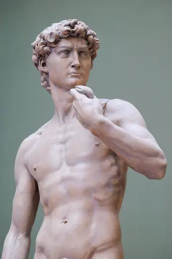 Surface detail: Michaelangelo's David, Victoria and Albert Museum, London. Fujifilm. (25066190575)