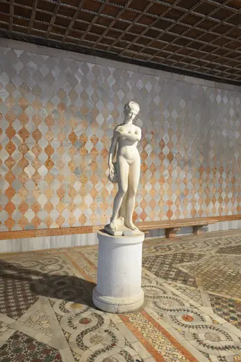 Surface detail: Ca d Oro statua di Flora marmo di Carrara Venezia