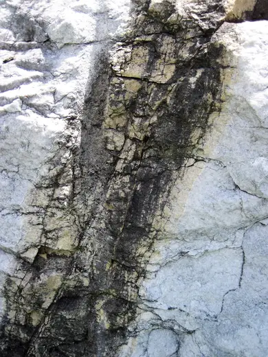 Surface detail: Dolomitized marble in marble (Gouverneur Marble, Mesoproterozoic, ~1.1 Ga; Route 11 roadcu