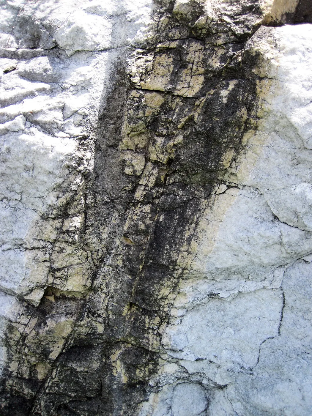 Surface detail: Dolomitized marble in marble (Gouverneur Marble, Mesoproterozoic, ~1.1 Ga; Route 11 roadcu
