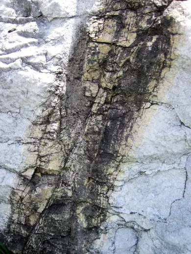 Surface detail: Dolomitized marble in marble (Gouverneur Marble, Mesoproterozoic, ~1.1 Ga; Route 11 roadcu