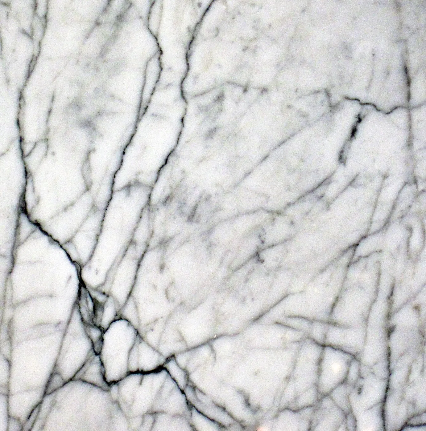 Surface detail: Statuarietto White Marble (Apuan Marble Formation, Tertiary metamorphism of Jurassic limes