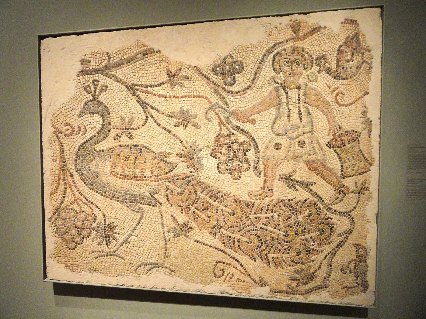 Pavimento: Fragment of a Floor Mosaic, Grape Harvester and Peacock, 400s AD, Byzantium, northern Syri