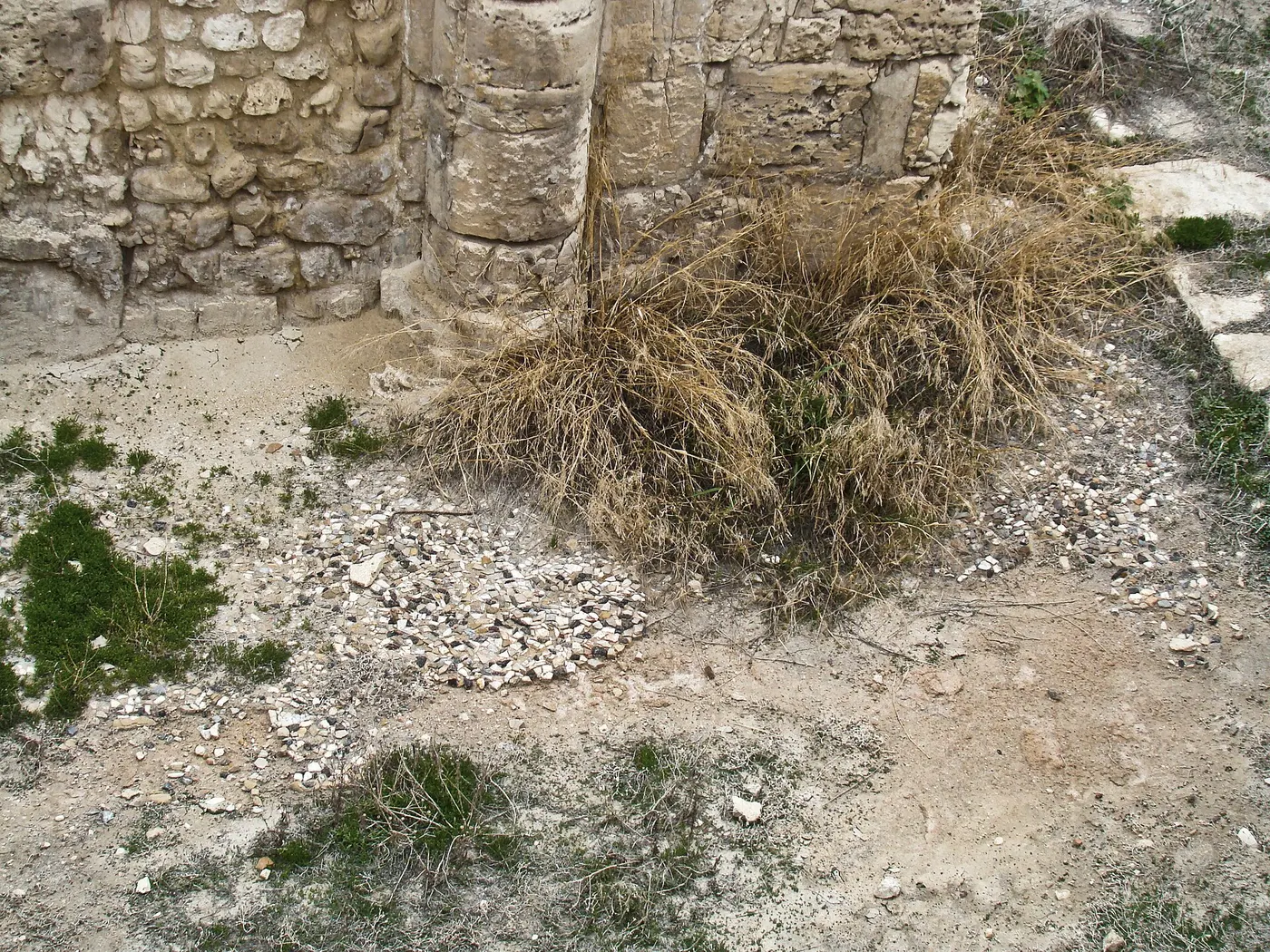 Pavimento: Mosaic Floor at Kom el Dikka (III)