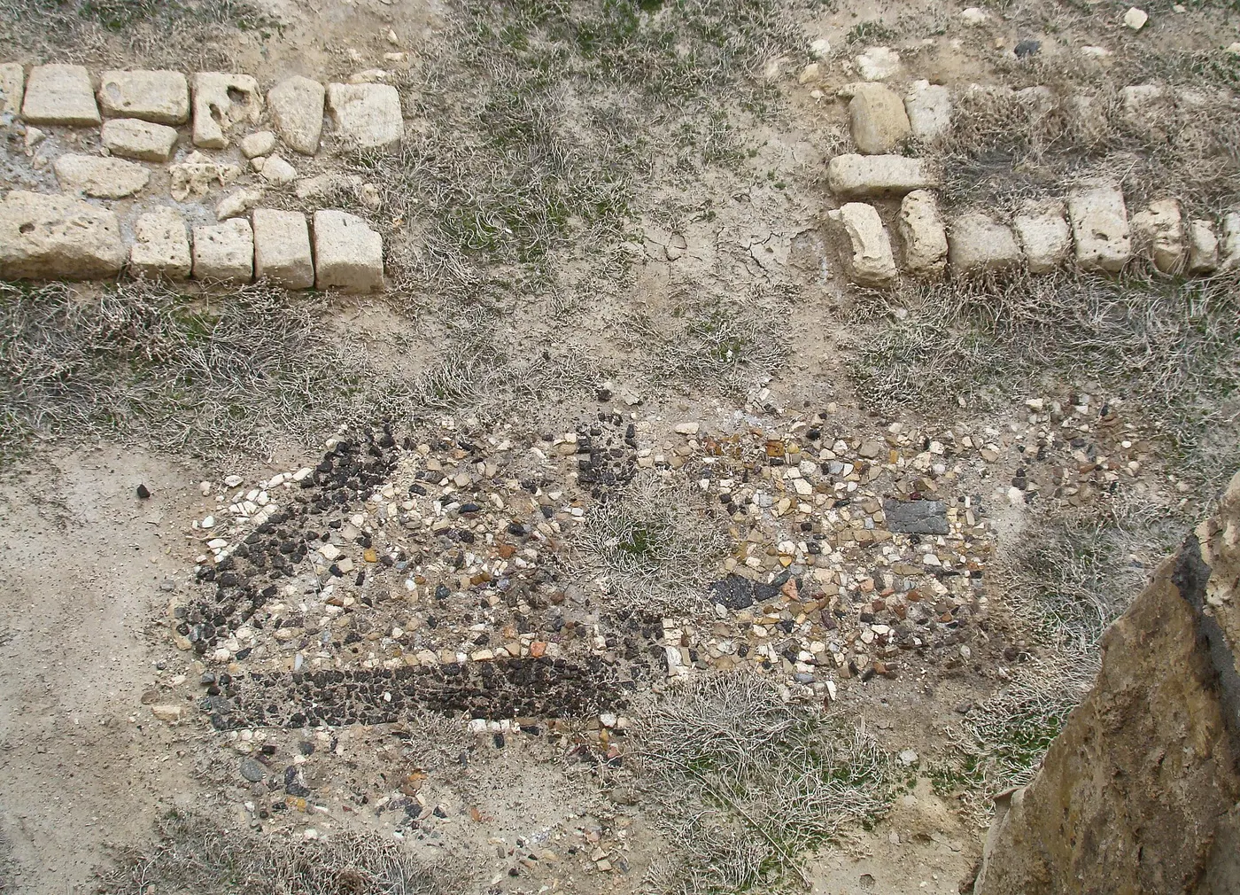 Flooring: Mosaic Floor at Kom el Dikka (I)