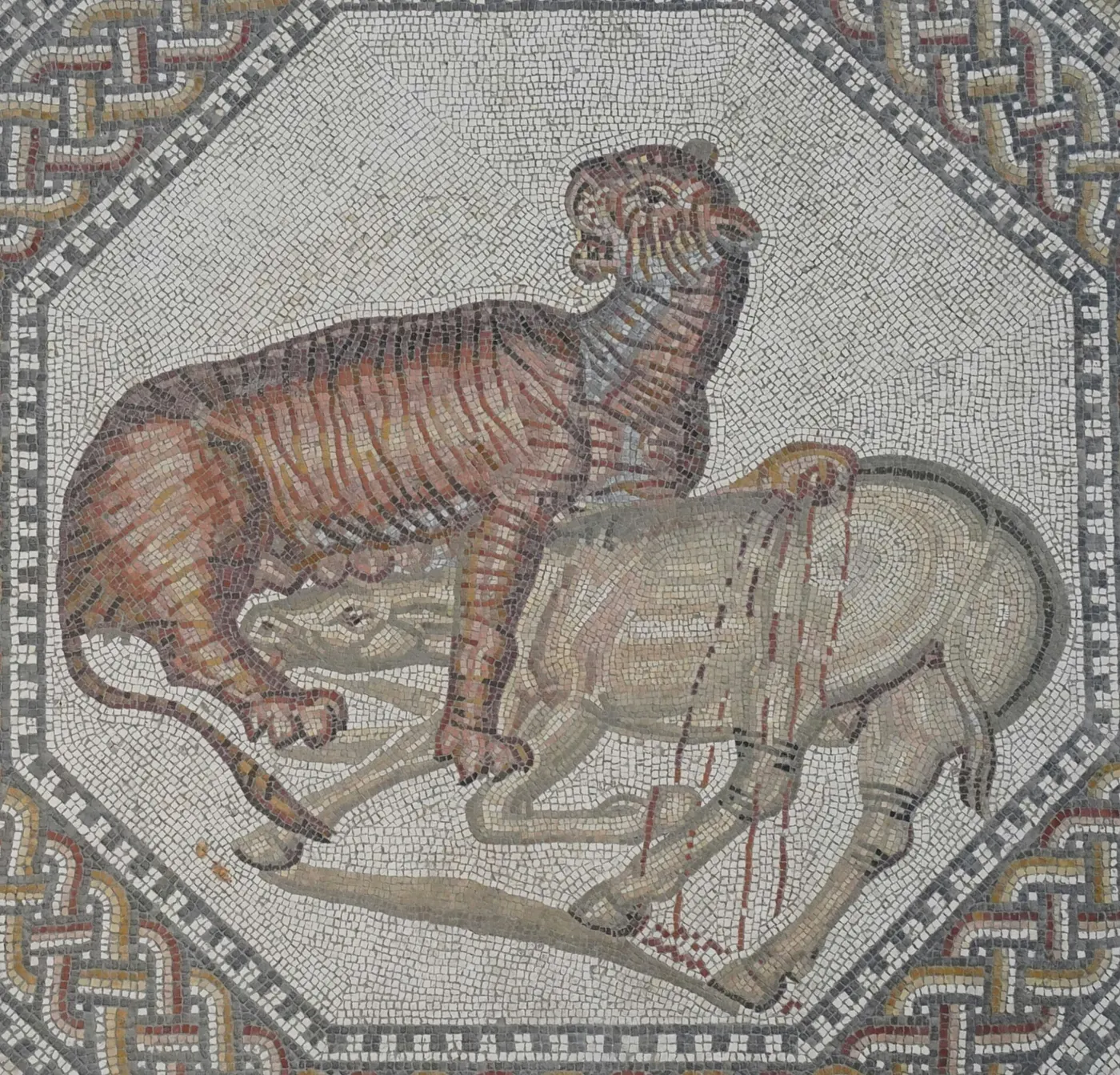 Mosaic: Nennig Roman Villa and Mosaics - 51133502182