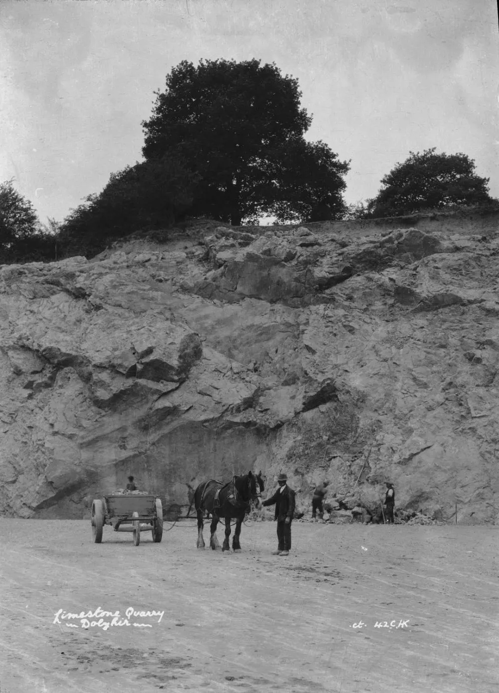 Вид карьера: Limestone quarry Dolyhir (1294638)