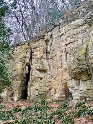 Quarry view: Former quarry, near Crawley Hill, Uley, Gloucestershire - 2