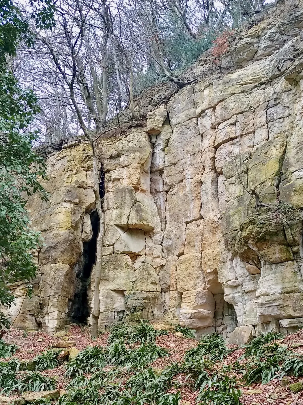 Quarry view: Former quarry, near Crawley Hill, Uley, Gloucestershire - 2