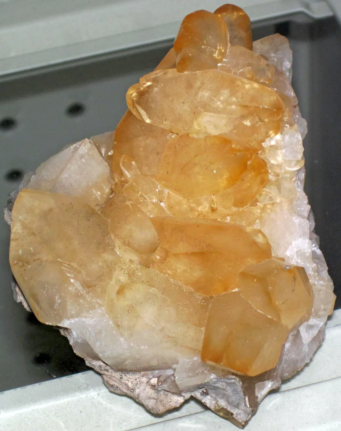Quarry view: Calcite (Auglaize Quarry, near Junction, Ohio, USA) (27201298108)