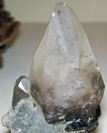 Quarry view: Calcite (Muscatatuck Group, Middle Devonian; Rensselear Stone Quarry, Pleasant Ridge, Indi