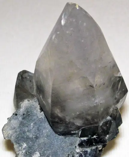 Quarry view: Calcite (Muscatatuck Group, Middle Devonian; Rensselear Stone Quarry, Pleasant Ridge, Indi