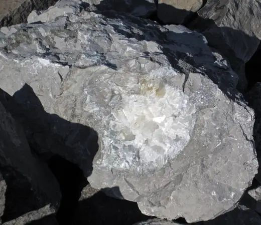 Quarry view: Caclite in limestone (Dundee Limestone, Middle Devonian; Auglaize Quarry, near Junction, O