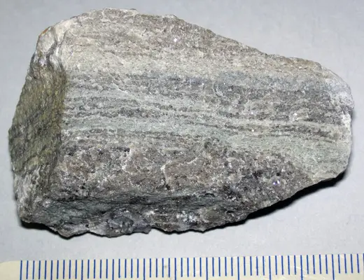 Quarry view: Laminated argillaceous limestone (Maxville Limestone, Mississippian; Pleasant Valley Limes