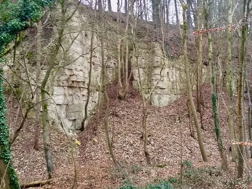 Quarry view: Knap House Quarry, Birdlip, Gloucestershire - 1